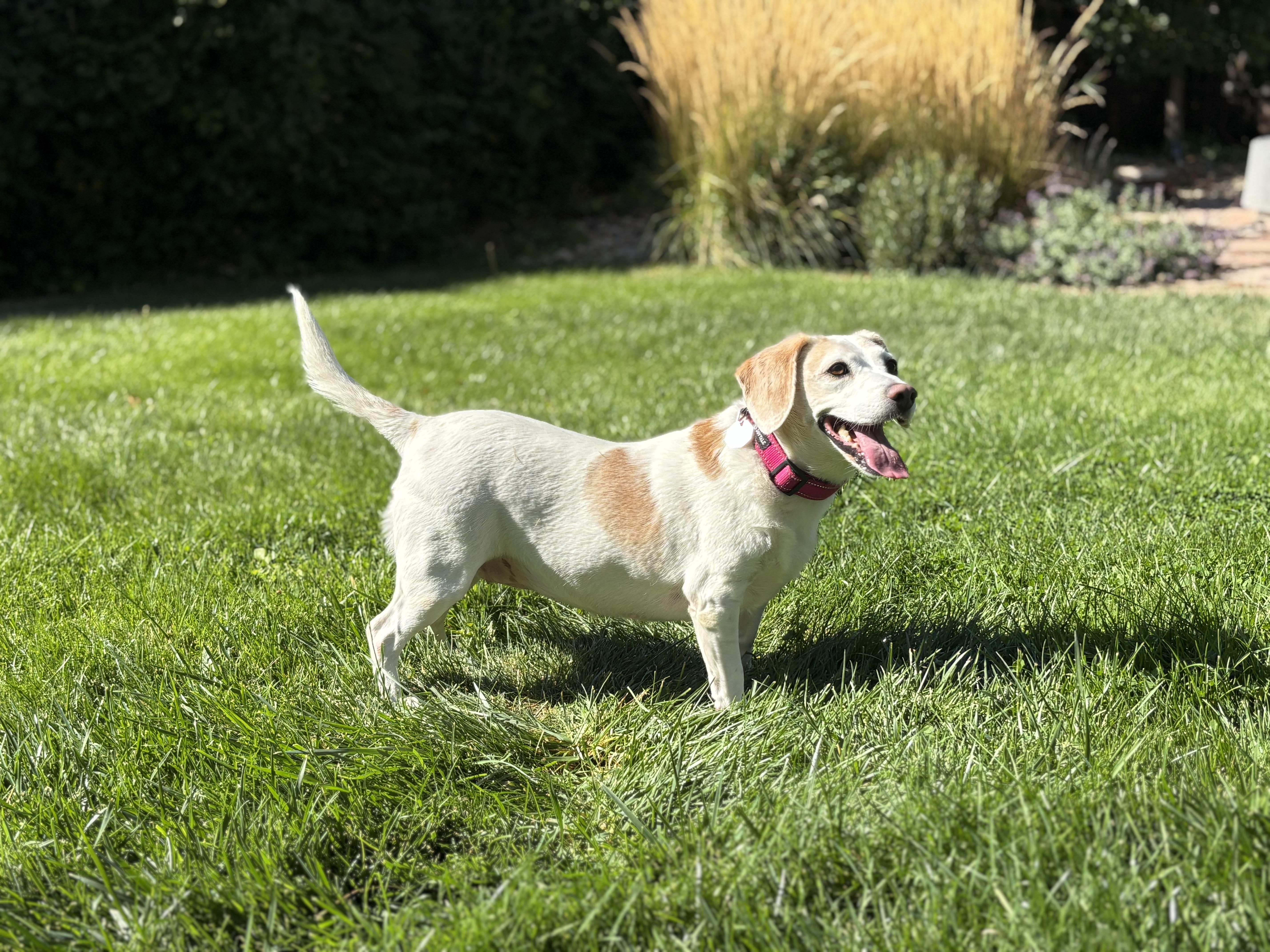 Josie thumbnail 5