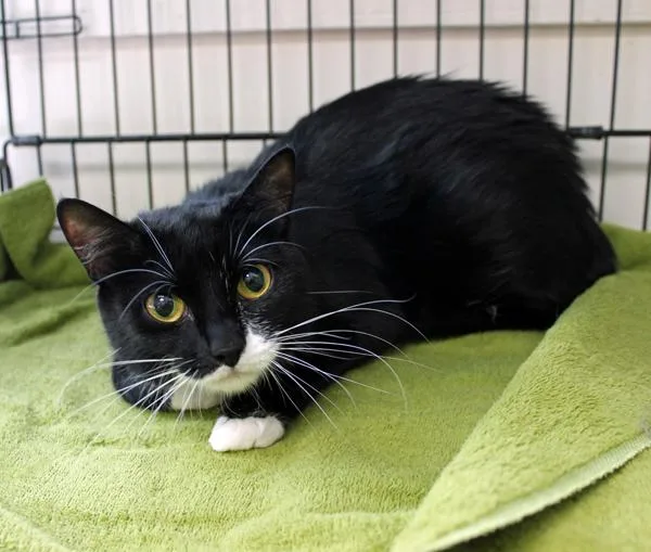 Nakita And Rosie thumbnail 2