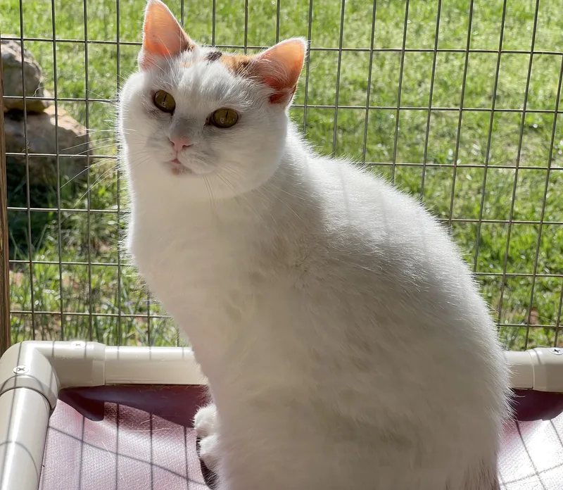 Danielle thumbnail 4