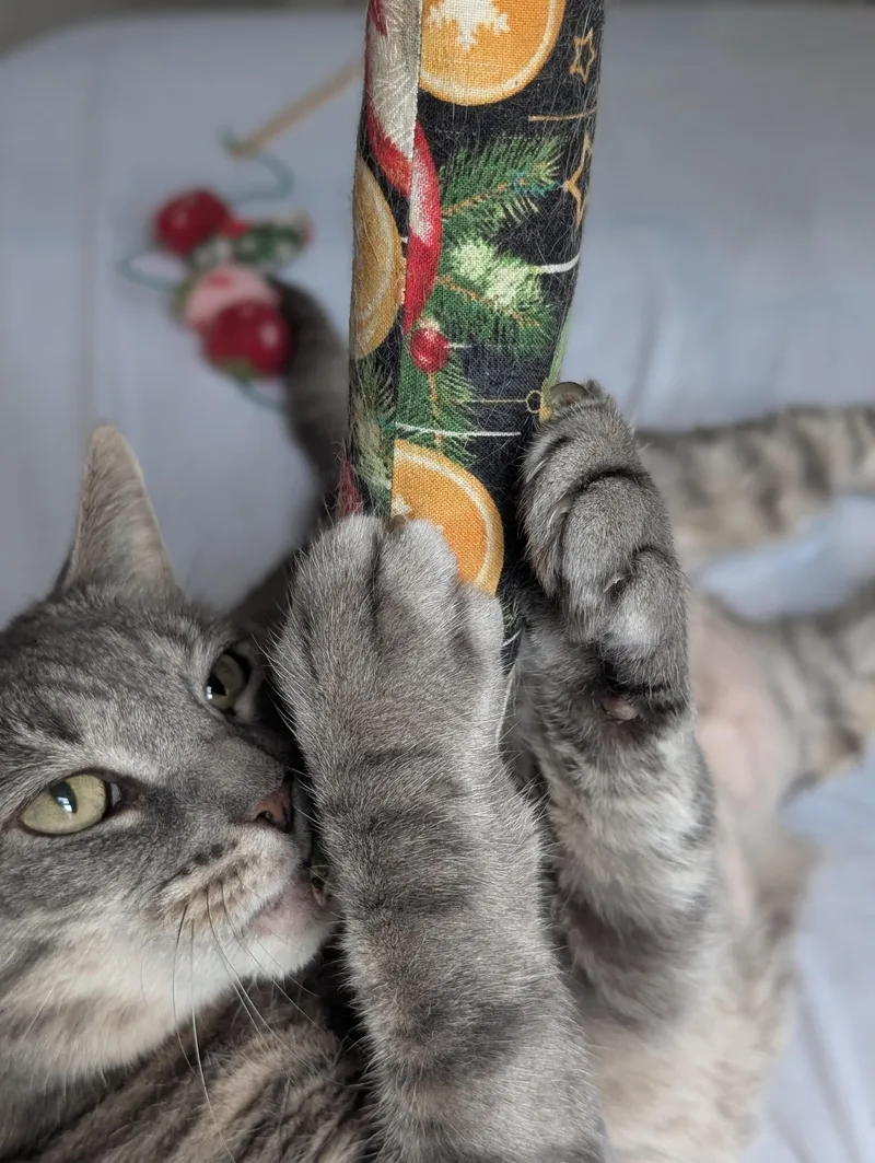 Regal Renata thumbnail 5