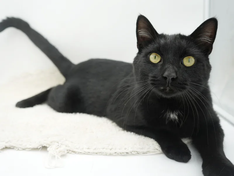 Spooky Is Sweet And thumbnail 2