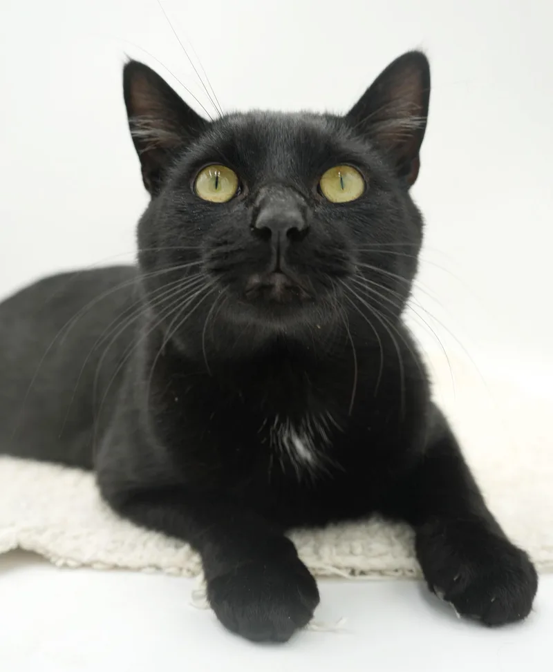 Spooky Is Sweet And thumbnail 3