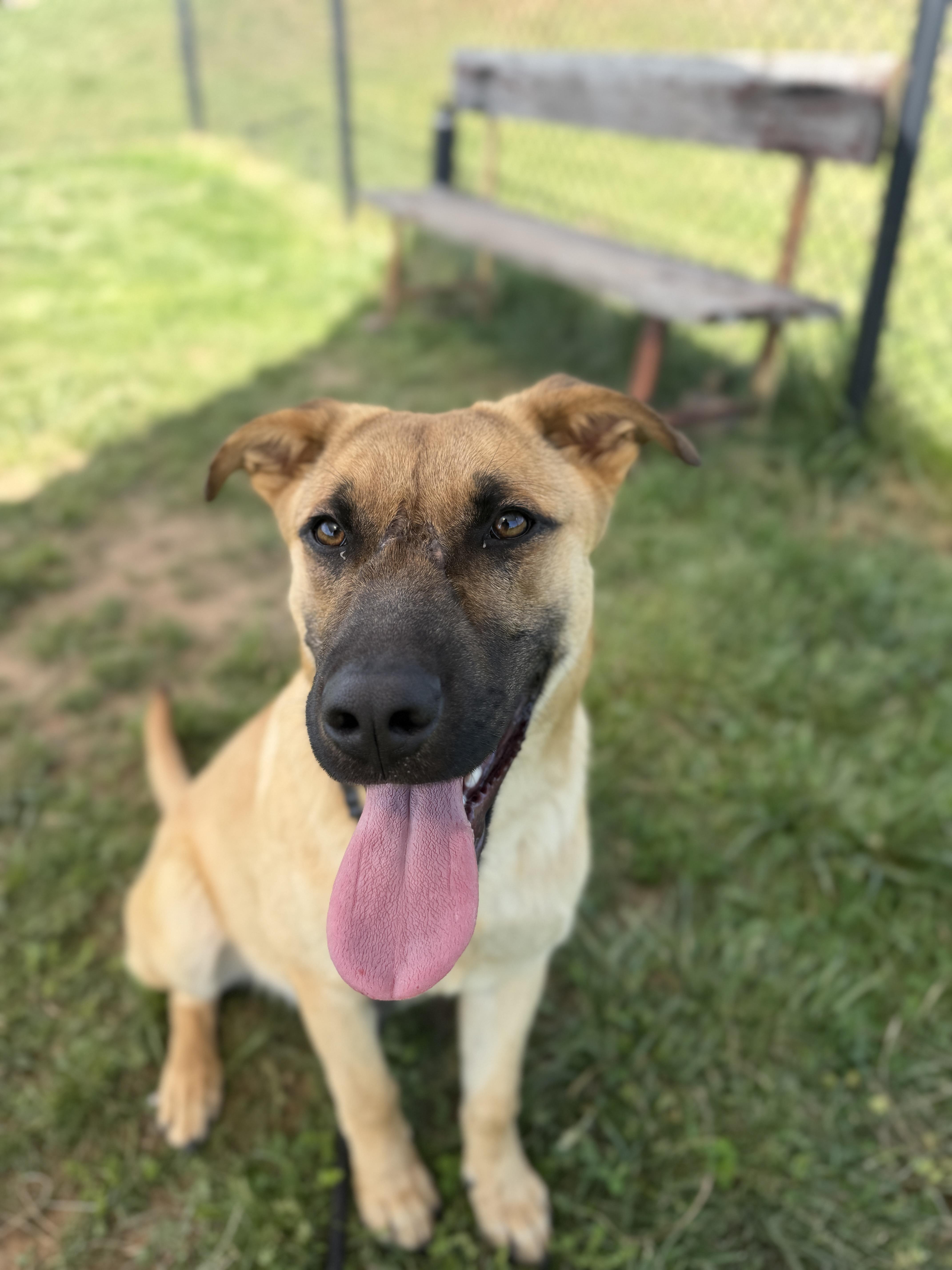 Kingston thumbnail 2