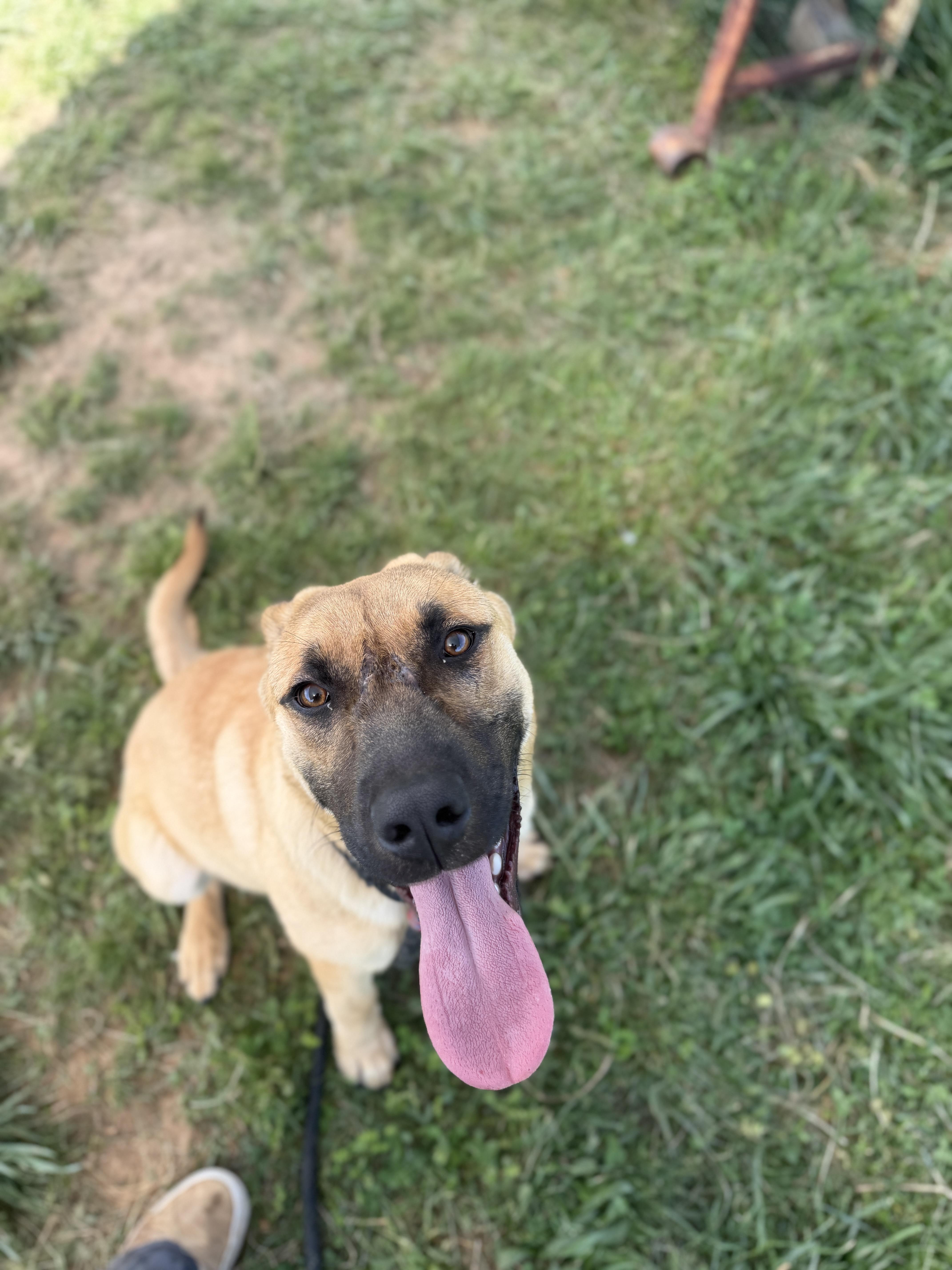 Kingston thumbnail 3