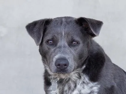 Marcella thumbnail 3