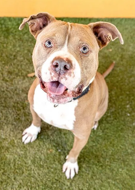 Billy Bob thumbnail 2