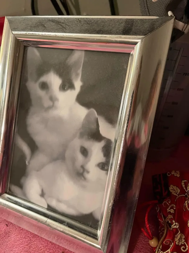 Beppi & Charlene thumbnail 2