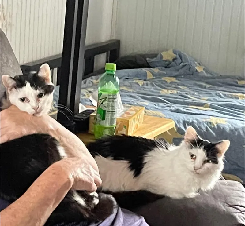 Beppi & Charlene thumbnail 3