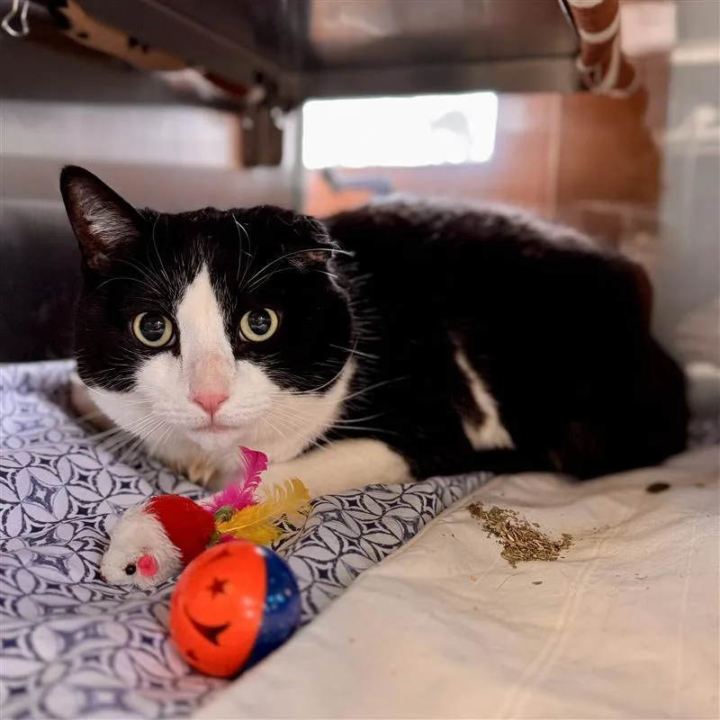 Forrest Gump thumbnail 4