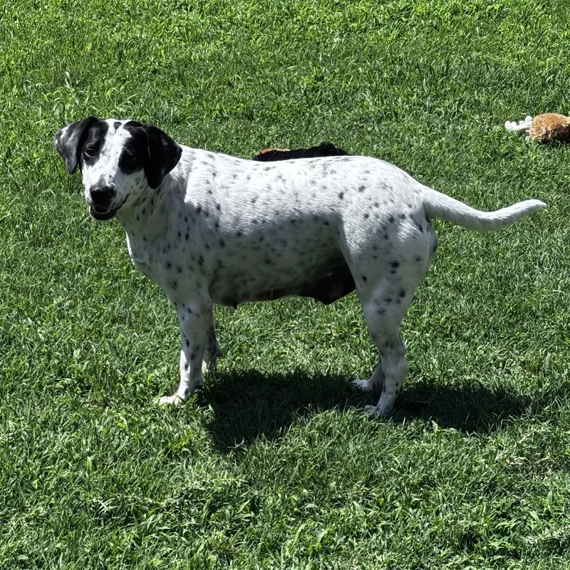 Daisy May thumbnail 3
