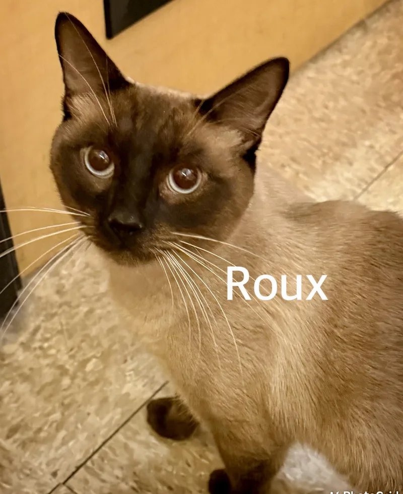 Roux