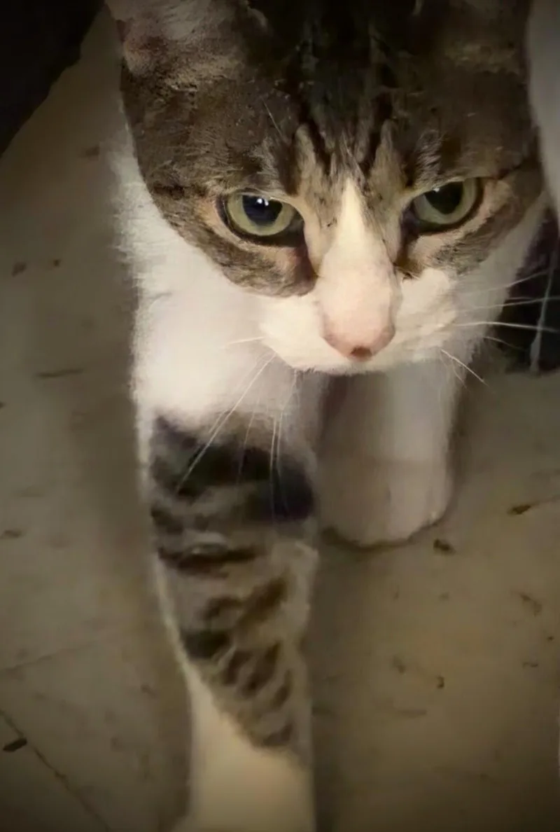 Ms. Sasha & Mr. thumbnail 4