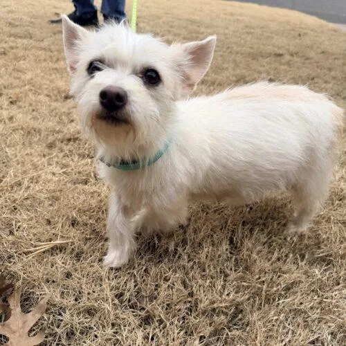 Lady Bug thumbnail 3