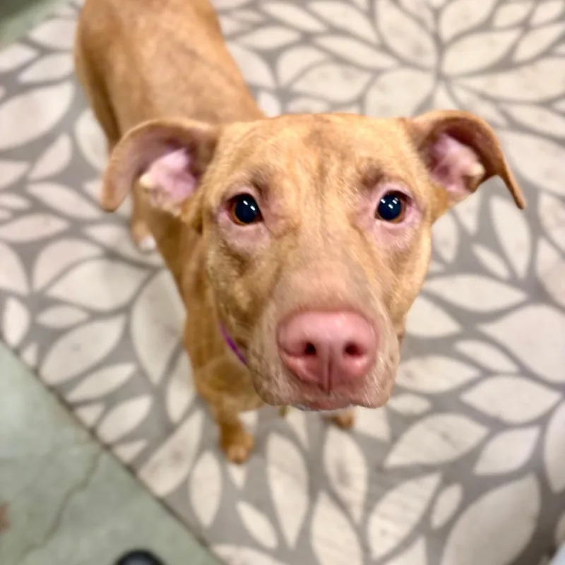 Fiona