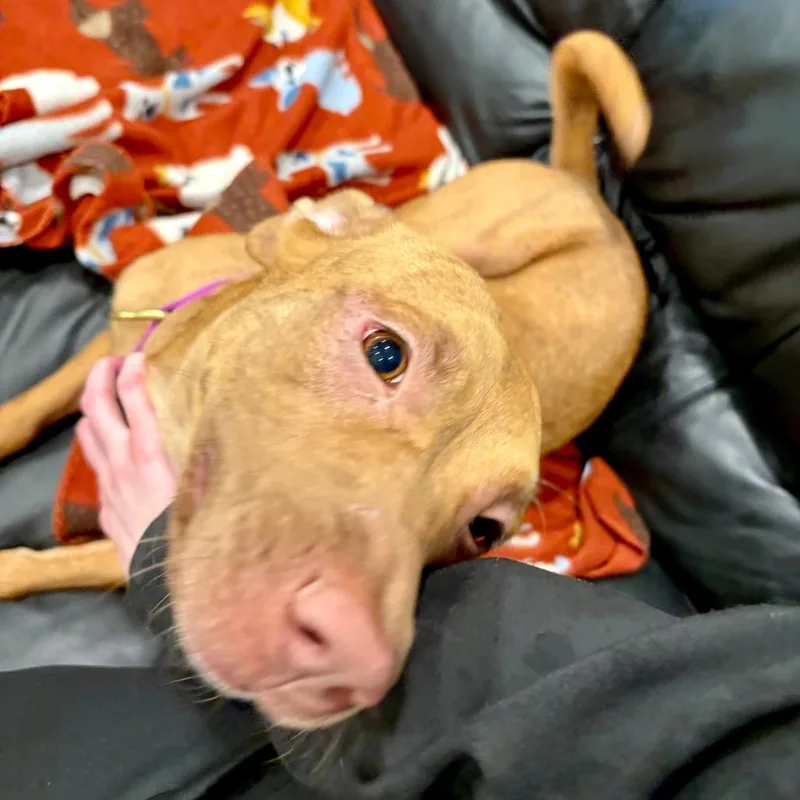 Fiona thumbnail 6