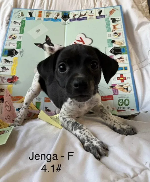 Jenga thumbnail 3