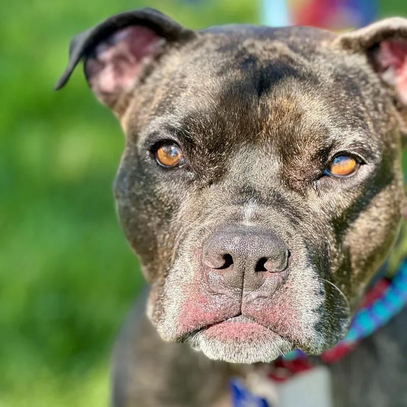 Zoe City Of Industry thumbnail 2