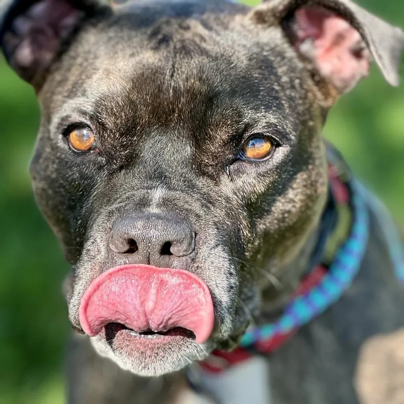 Zoe City Of Industry thumbnail 3