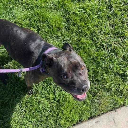 Zoe City Of Industry thumbnail 4