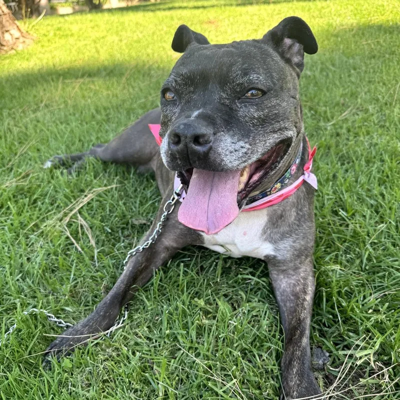 Zoe City Of Industry thumbnail 6