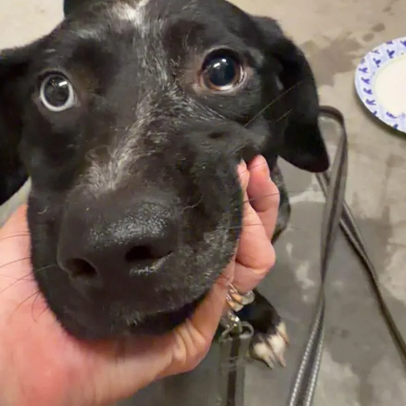 Loki thumbnail 2