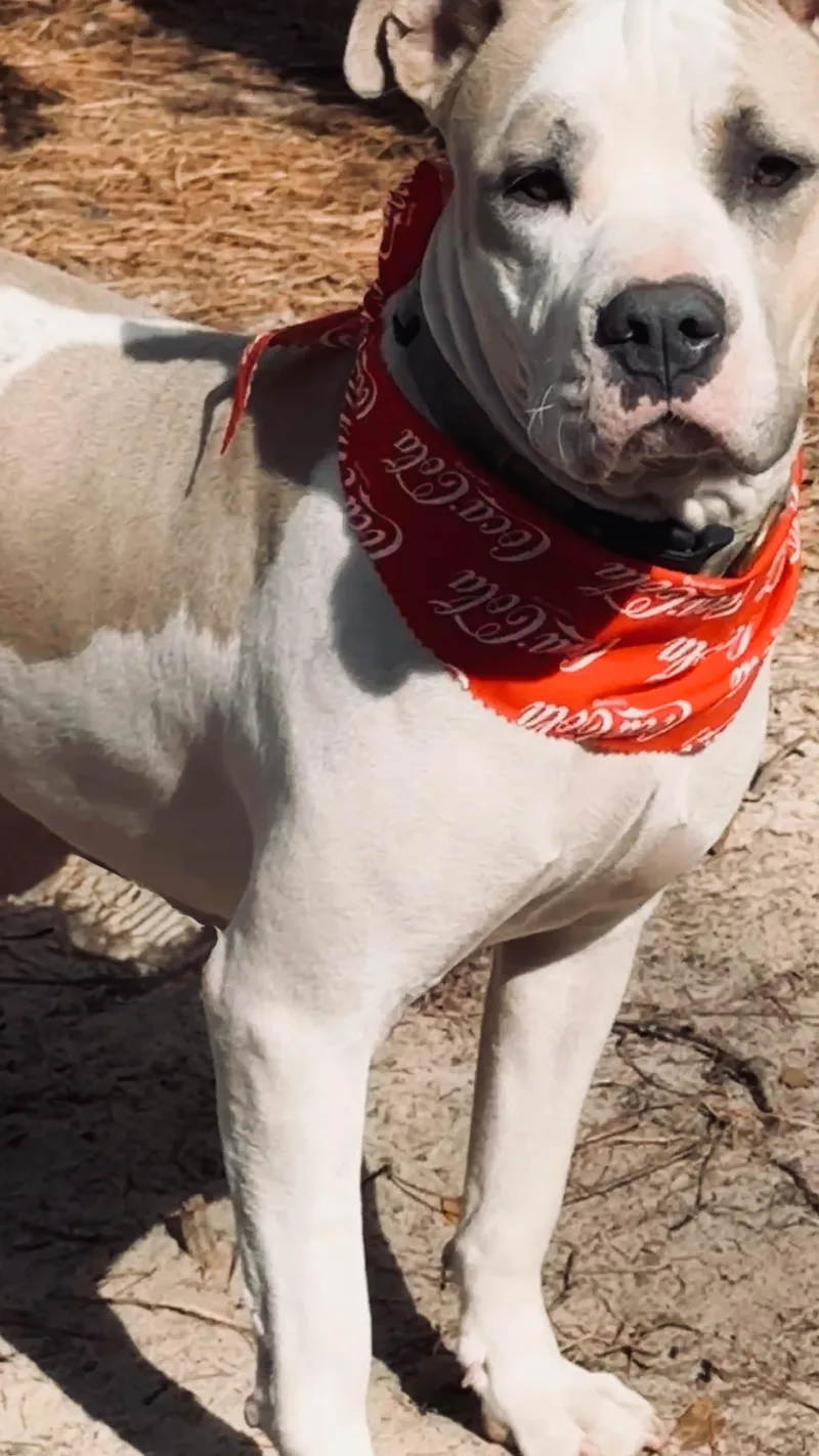 Claudette thumbnail 2