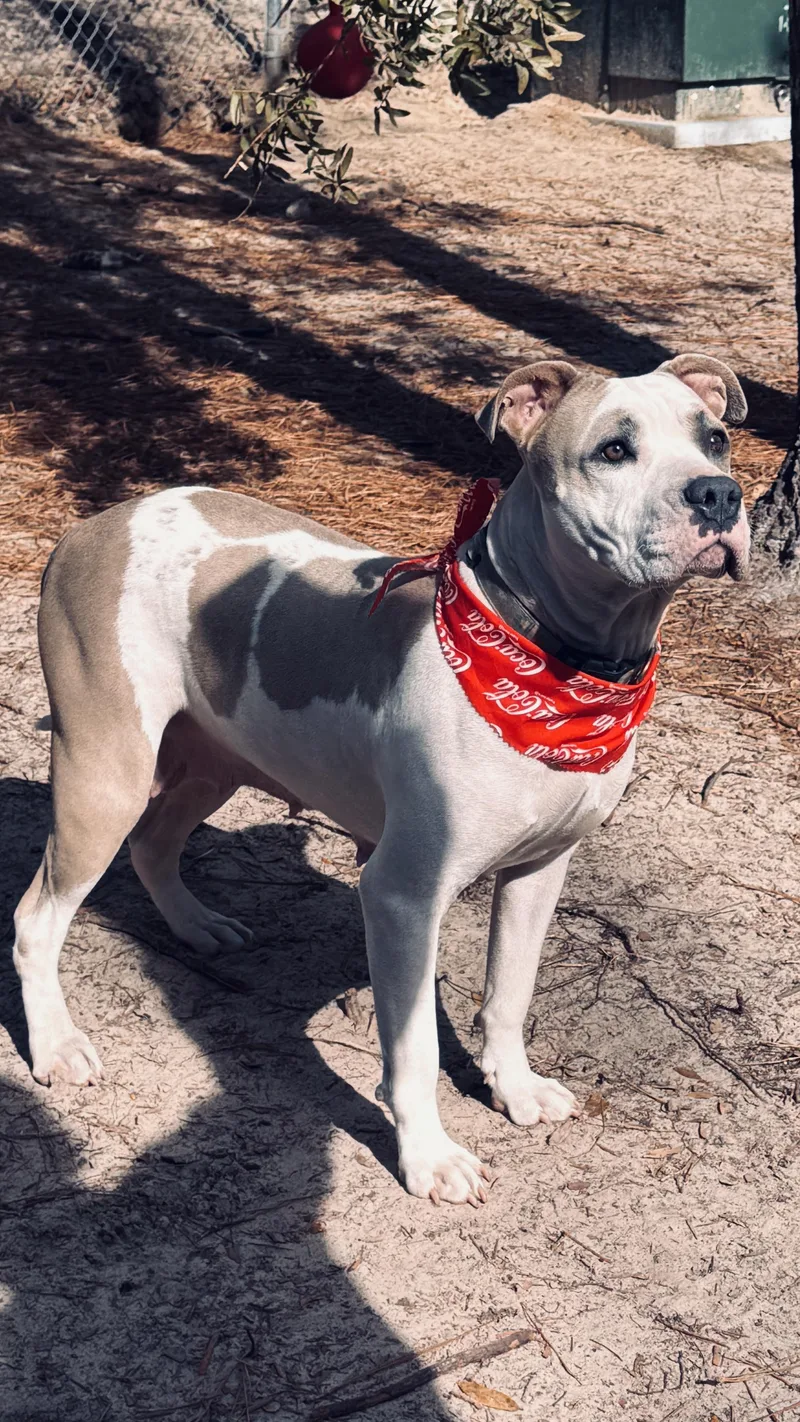 Claudette thumbnail 3