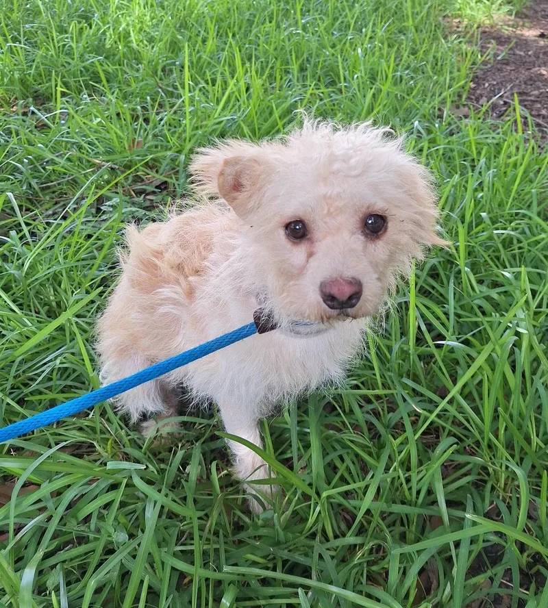 Poshan Orthw thumbnail 3