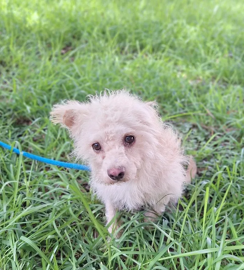 Poshan Orthw thumbnail 4