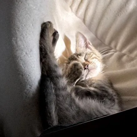 Under Pressure thumbnail 5