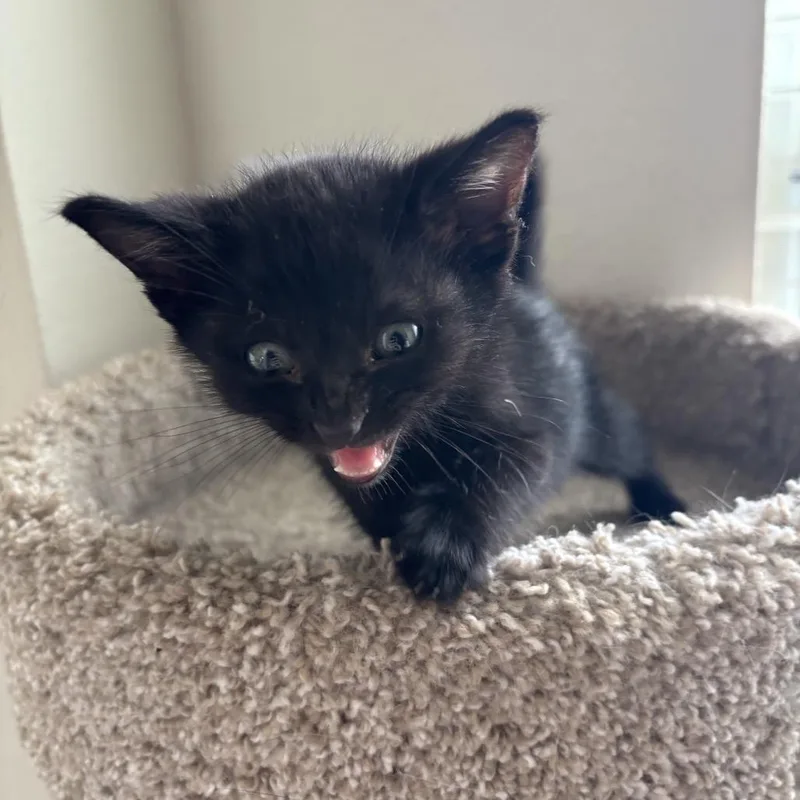 Milky Way thumbnail 2