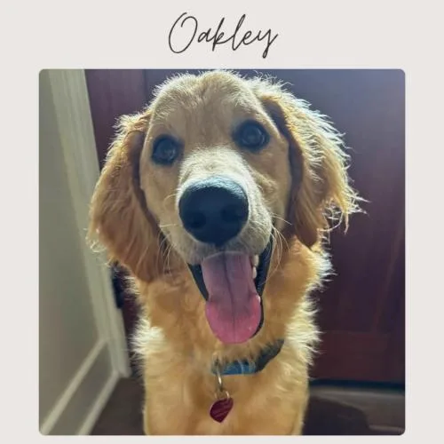 Oakley thumbnail 2