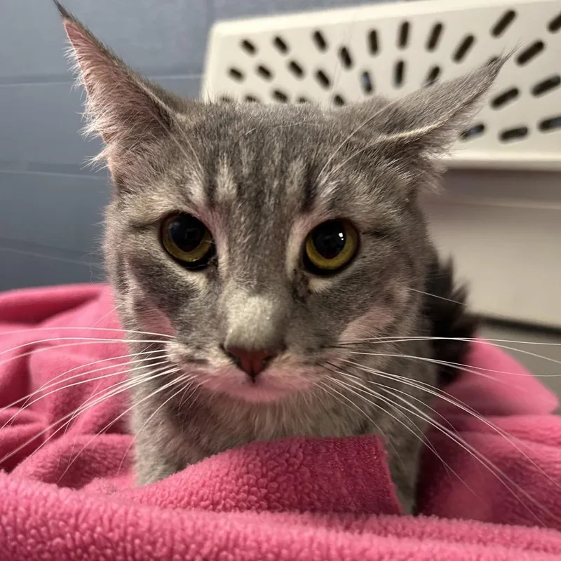 Jeff Is At Petsmart thumbnail 2