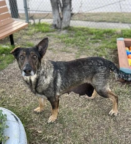 Maybeline thumbnail 2