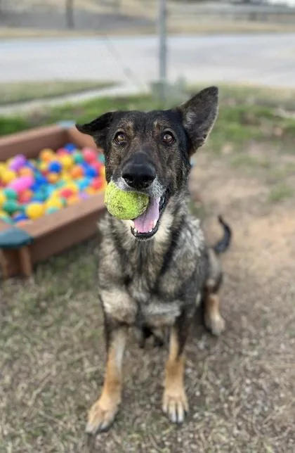 Maybeline thumbnail 3