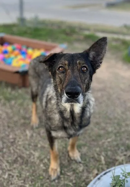 Maybeline thumbnail 5