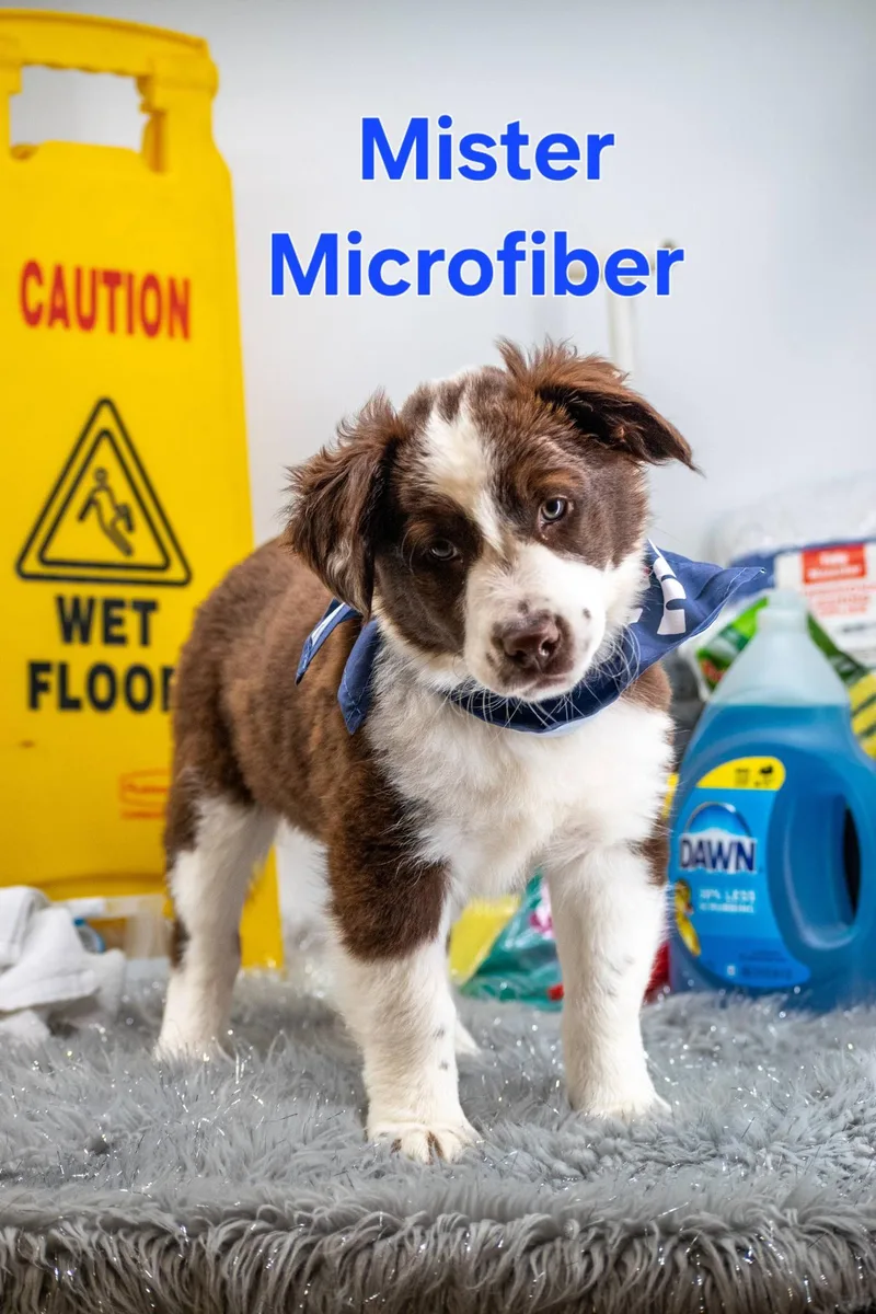 Mister Microfiber