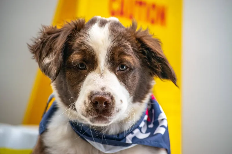 Mister Microfiber thumbnail 3