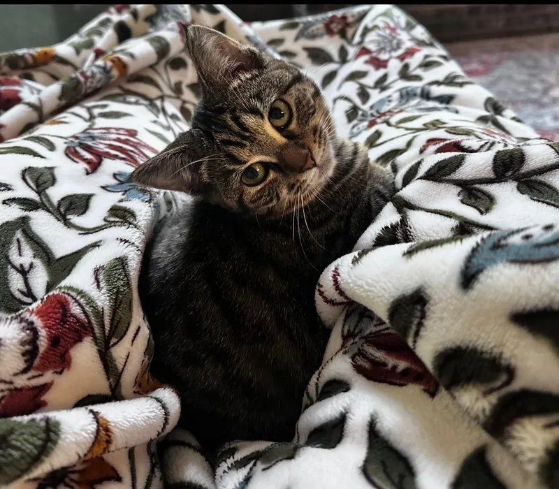 River And Smoke thumbnail 2