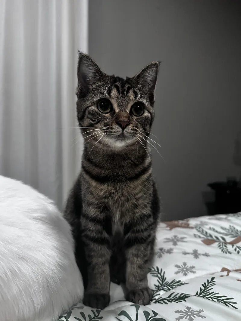 River And Smoke thumbnail 3