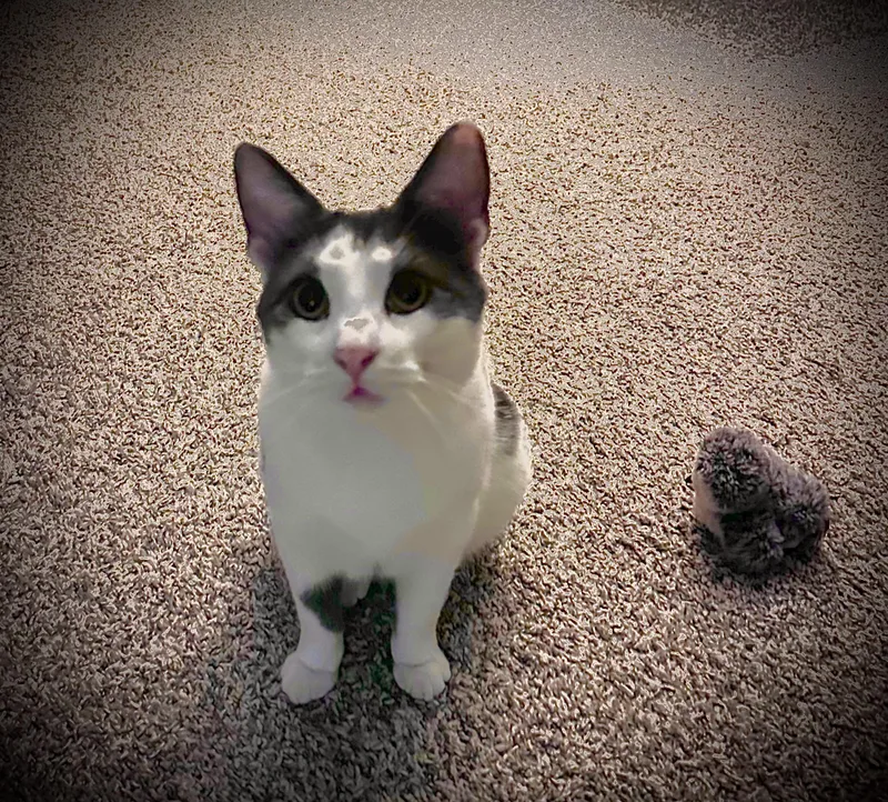 River And Smoke thumbnail 4