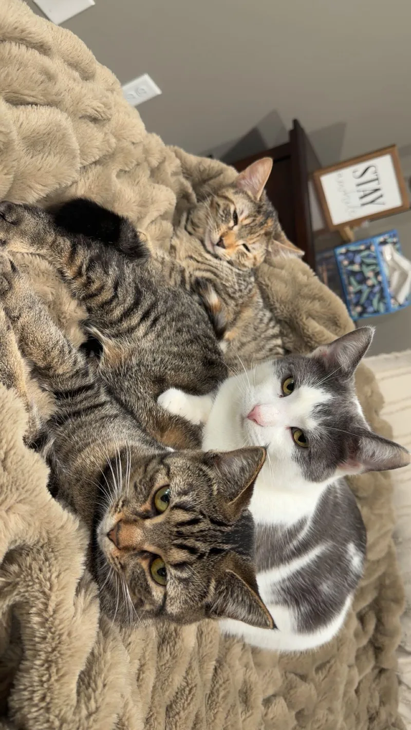 River And Smoke thumbnail 5