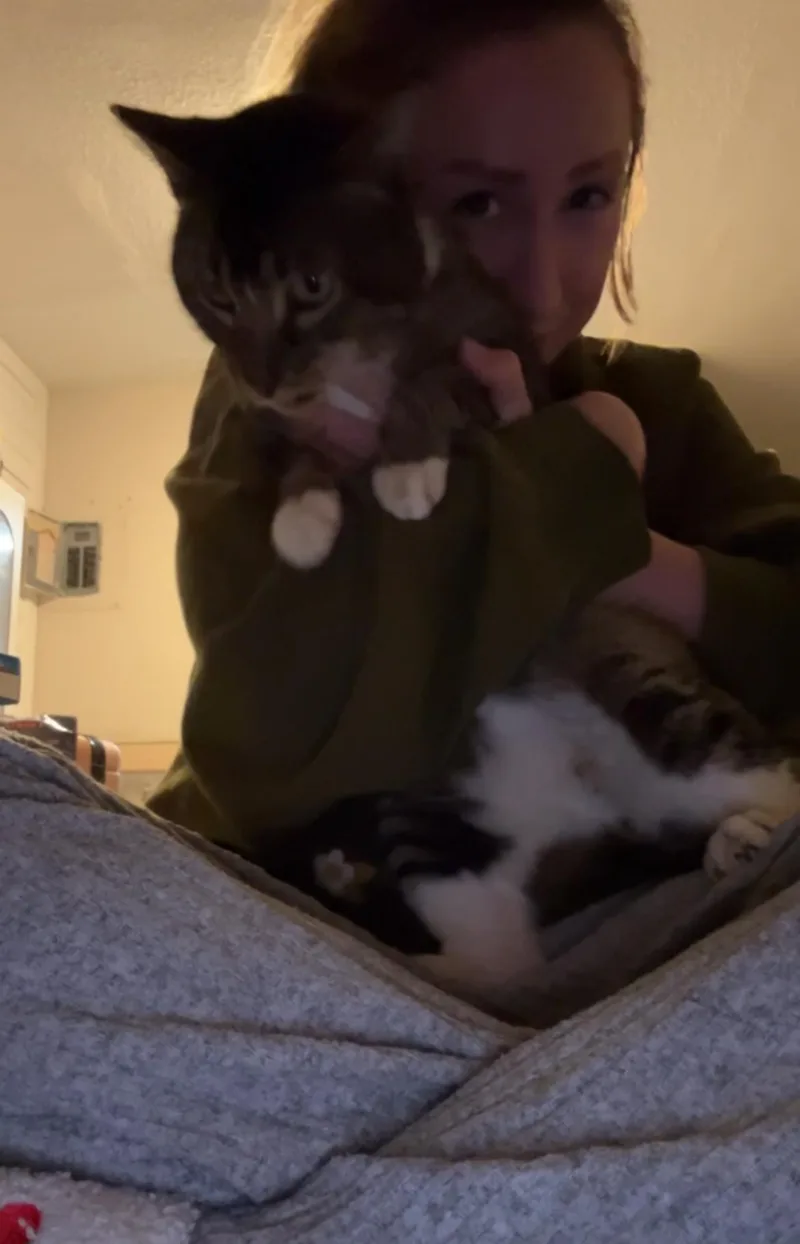 Beelzebub thumbnail 2