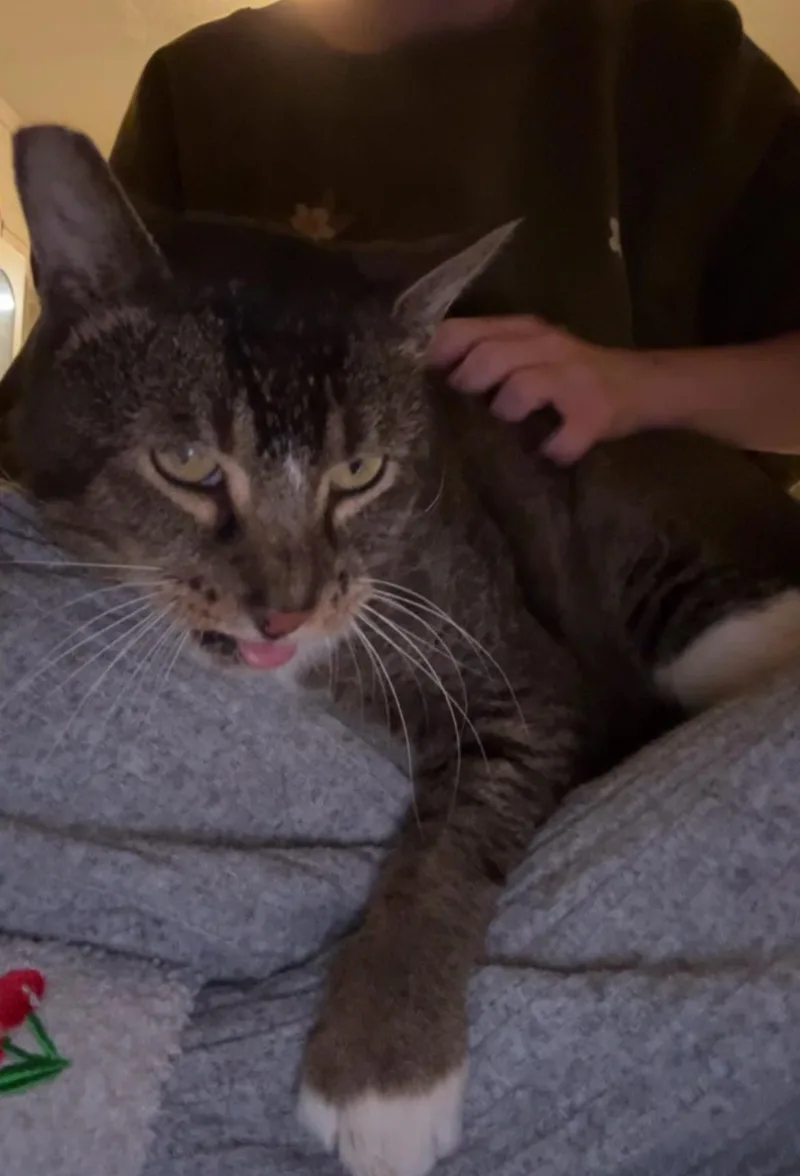 Beelzebub thumbnail 5