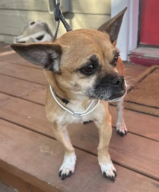 Chloe