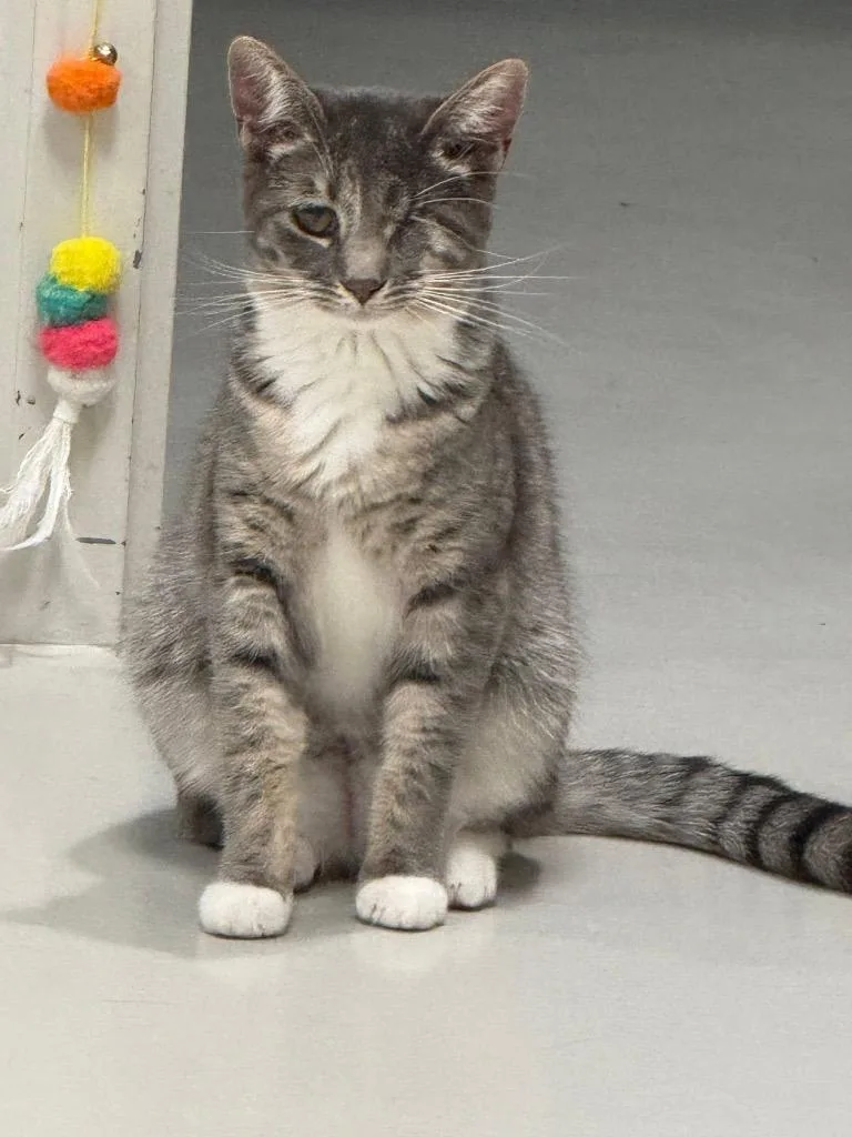 Reece Rhodes thumbnail 2