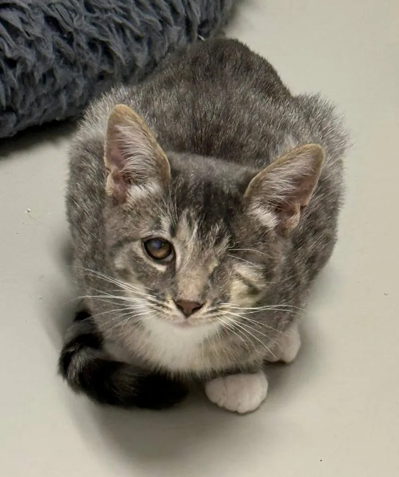 Reece Rhodes thumbnail 3