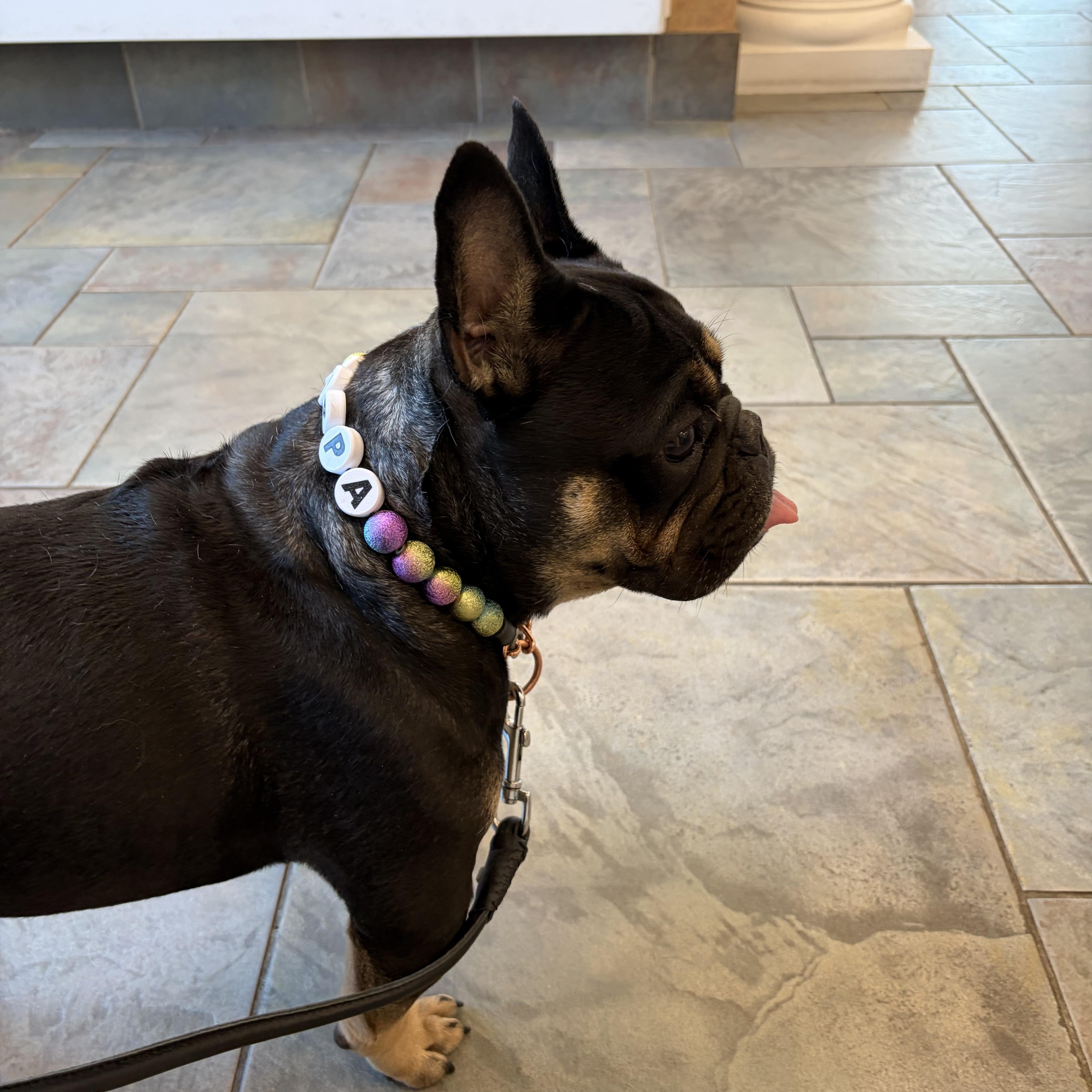 Pippa thumbnail 2