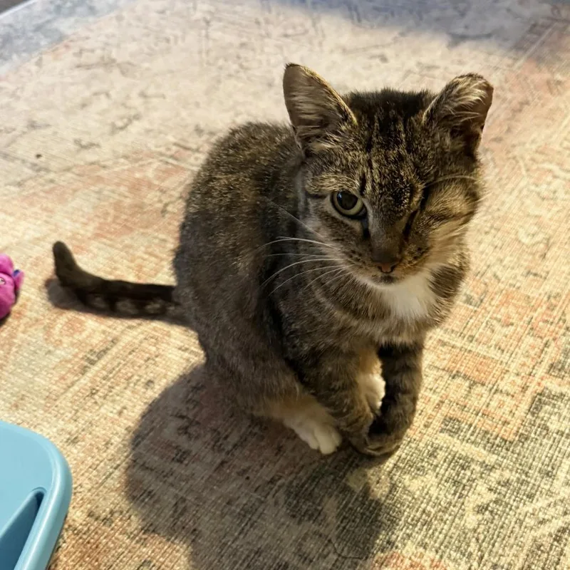 Francesca thumbnail 2