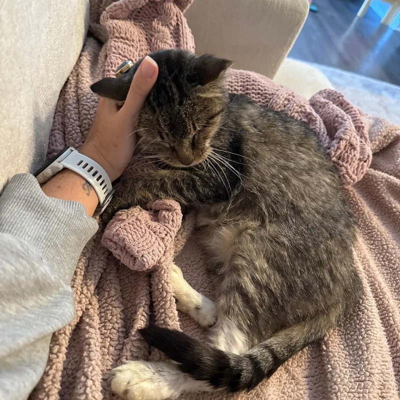 Francesca thumbnail 4